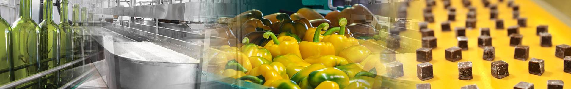 Food & Beverage Market | TB Wood's