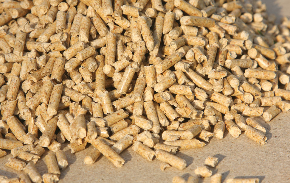 Wood Pellet Mills