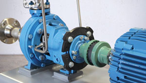 Accouplements Sure-Flex Plus TB Wood's taille 7