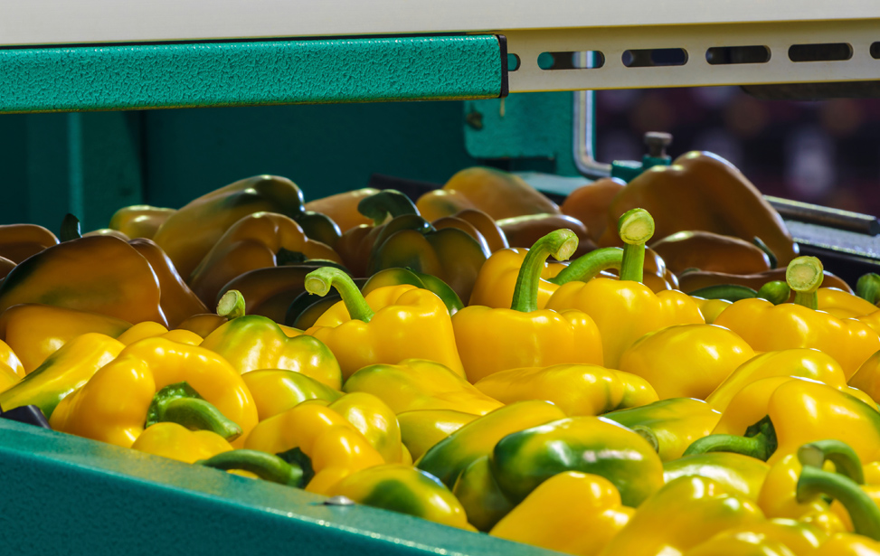 Fruits and Vegetables Applications