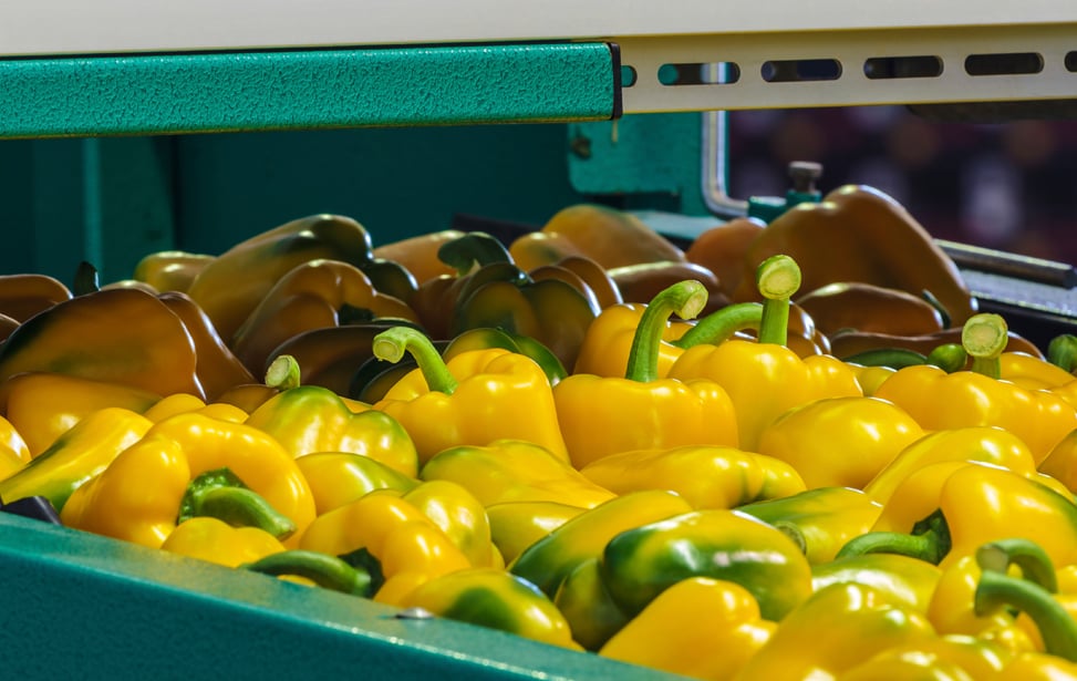 Fruits and Vegetables Applications