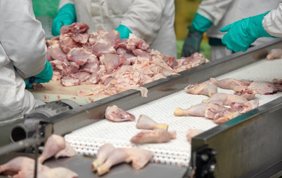 Meat and Poultry Applications