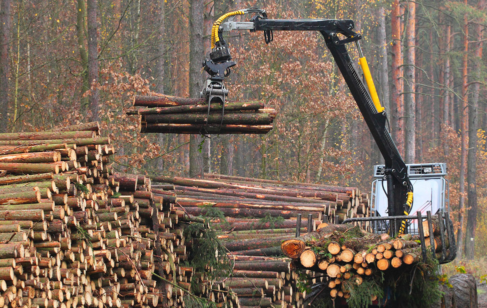 Forestry Category
